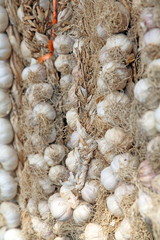 Garlic pattern background on market in Sicily