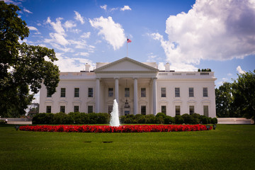 Fototapeta na wymiar Biały Dom w Waszyngtonie