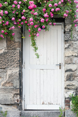 Trailing Roses on Garden Door