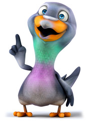 Fun pigeon