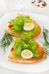 bread with eggs on the plate