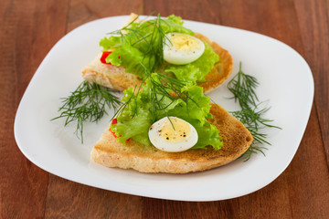 Fototapeta na wymiar bread with eggs on the white plate
