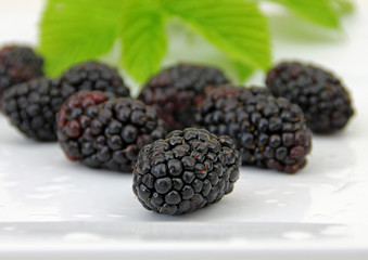 Brombeeren