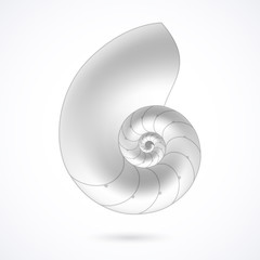 Obraz premium Nautilus shell