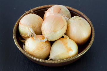onion in dish
