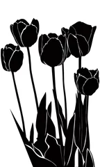 Printed kitchen splashbacks Flowers black and white tulips flowers it is isolated