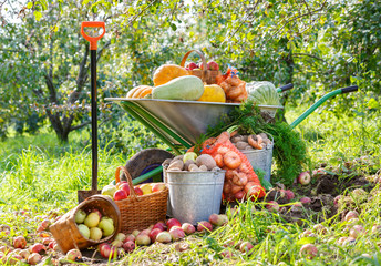harvest of vegetables and fruits