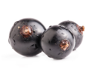 Black currant isolated on white background