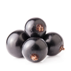 Black currant isolated on white background