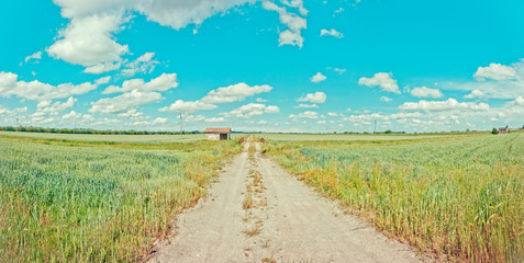 rural road and abandoned shed in italian Po valley