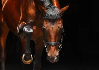 Gordijnen Formidable horse hoof stomps © horsemen