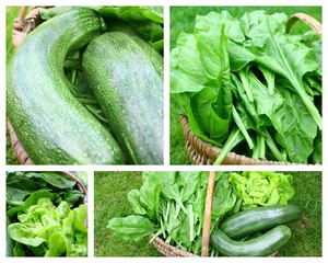 montage de légumes vert d'été