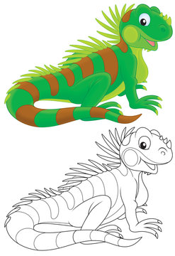 green iguana cartoon style clip art preview