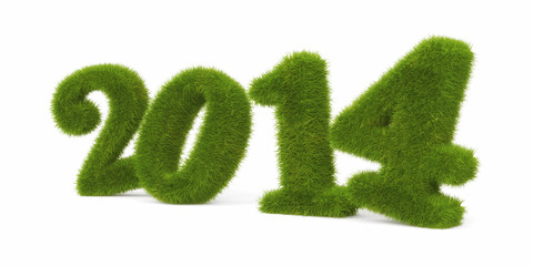 Current year. Grassy digits