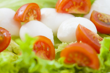 Salad