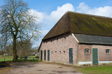 Fototapeta na wymiar Old historic farmhouse in the Netherlands with reed roof