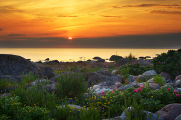 Setting sun at the rocky coast