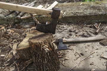 Fototapeta premium log fire wood and old axe