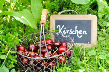 Kirschen