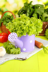Fresh herb in watering can on wooden table on natural