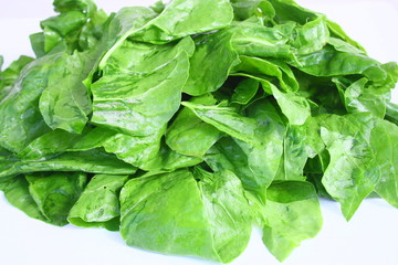 feuilles d'épinard sur fond blanc