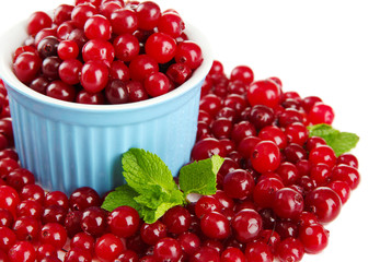Ripe red cranberries in bowl, isolated on white.