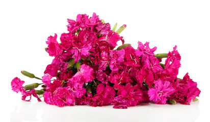 Obraz premium Bouquet of carnations, isolated on white
