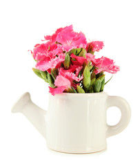 Obraz na płótnie Canvas Bouquet of carnations in vase, isolated on white