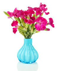 Bouquet of carnations in vase, isolated on white