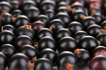 Fresh black currant close up