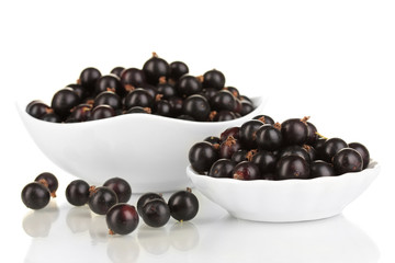 Fresh black currant isolated on white