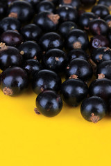 Blackcurrants on yellow background