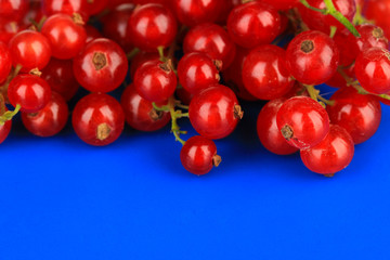 Redcurrants on blue background