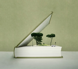 Pop up book