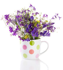 Beautiful bouquet of wildflowers in cup, isolated on white