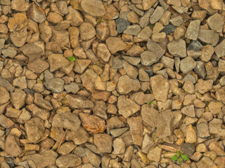 Slightly wet gravel with some grass (seamless texture)