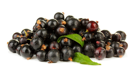 Black currant isolated on white