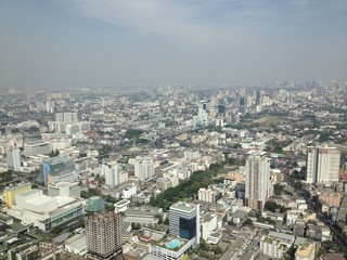 Fototapeta premium городские джунгли