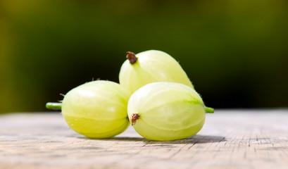 Gooseberries with green nature background