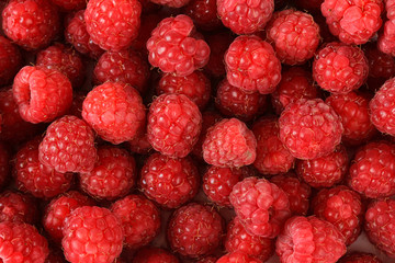 Ripe sweet raspberries, close up