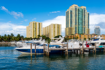 Fototapeta na wymiar Boats in Miami Beach Marina