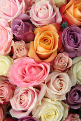 Mixed pastel roses