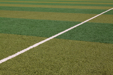 Obraz premium lawn on the playground
