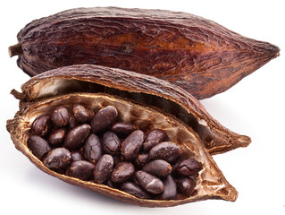 Cocoa pod