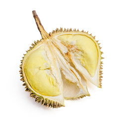Obraz premium Durian. Giant Tropical Fruit.