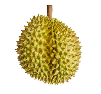 Durian, the king of fruits in South East Asia on background.