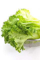 Fresh green lettuce isolated on a white