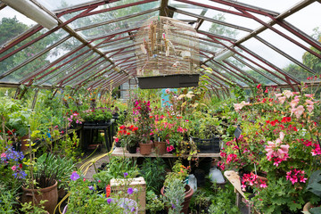 Colourful greenhouse full of potted plants