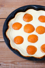 Cheesecake with halves of apricots
