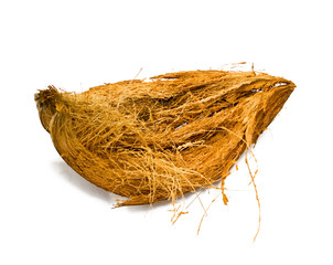 Coconut spathe isolated